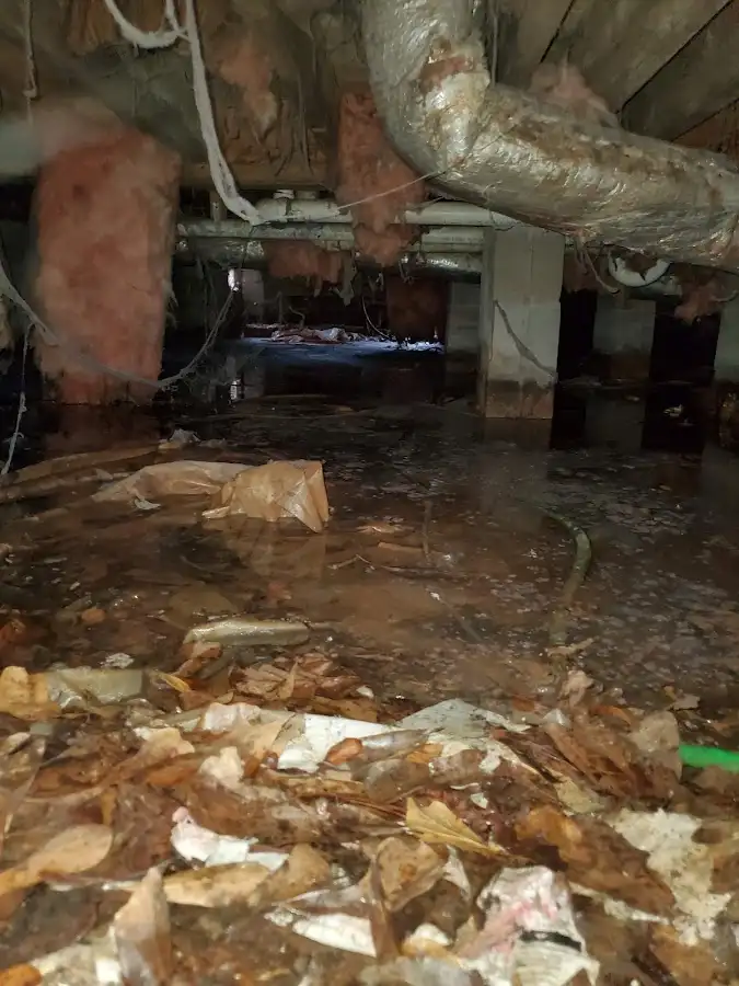 Crawl space flood assessment for Leak Detection & Repair in Bluffdale